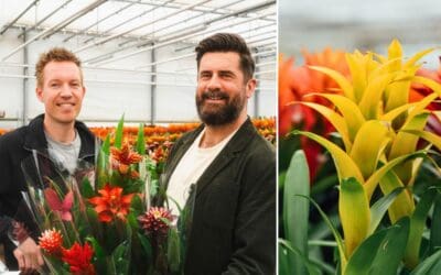 Grower for a Day: Michael Perry zu Gast bei Decorum Züchtern – Teil 7 Beitragsbild