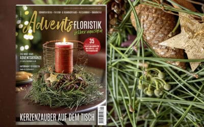 Das neue Sonderheft NaturWERKSTATT „Adventsfloristik selber machen“ ist da! Teaser_5-2026