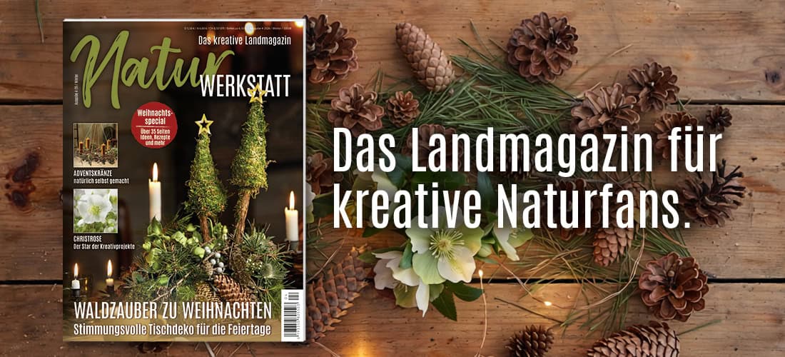 Liebes Land-Magazin Sommerausgabe