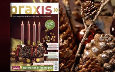 Die neue Ausgabe ist da: Jetzt die PRAXIS November/Dezember 2026 entdecken! Teaser_PR6_1200x800