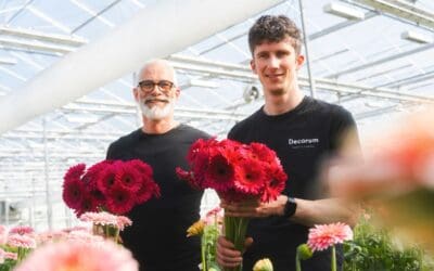 Grower for a Day: Klaus Wagener zu Gast bei Decorum Züchtern – Teil 1 Beitragsbild (1)