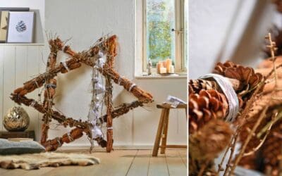 Überdimensionaler Stern aus Zapfen Beitragsbild (2)