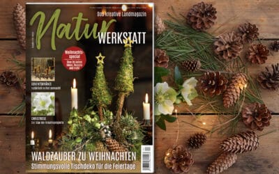 Die neue Naturwerkstatt 4/2026 ist da! Teaser_NW4